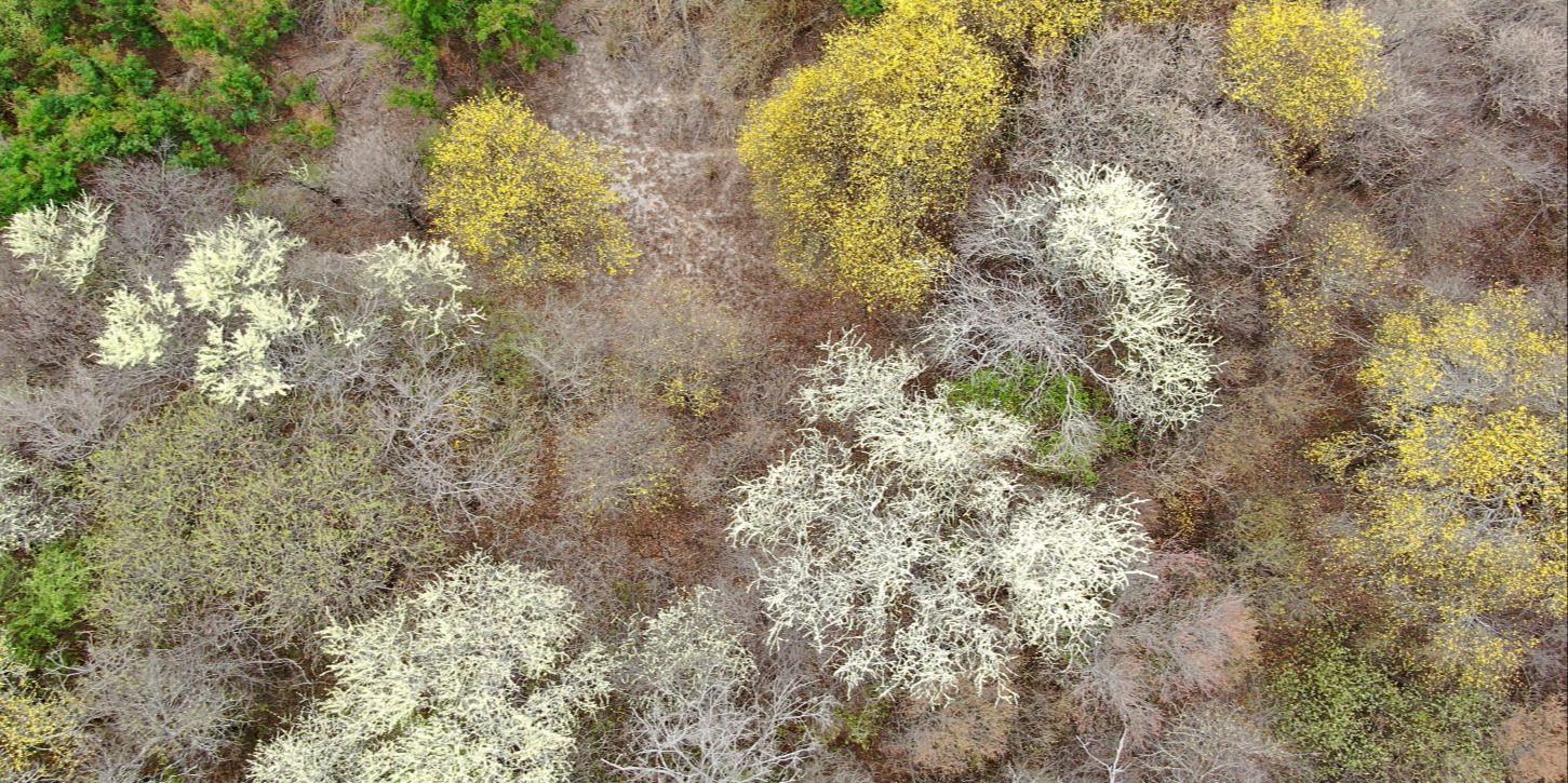 Reserva Natural Cañada El Carmen