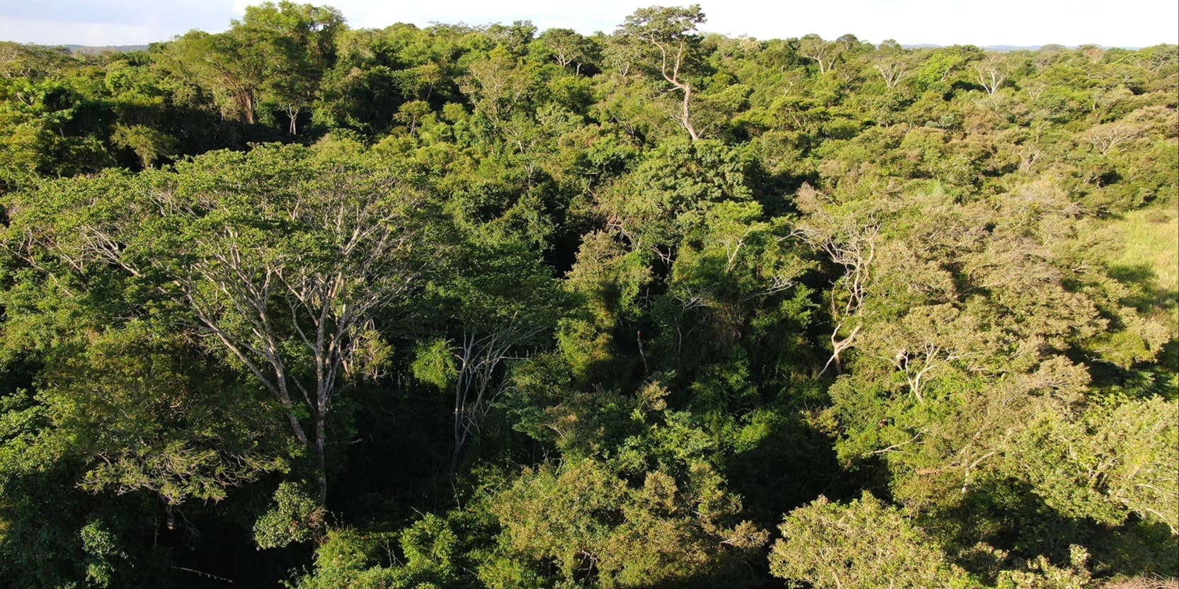 SREF - San Rafael Endowment Found