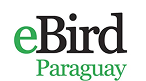 eBird Paraguay