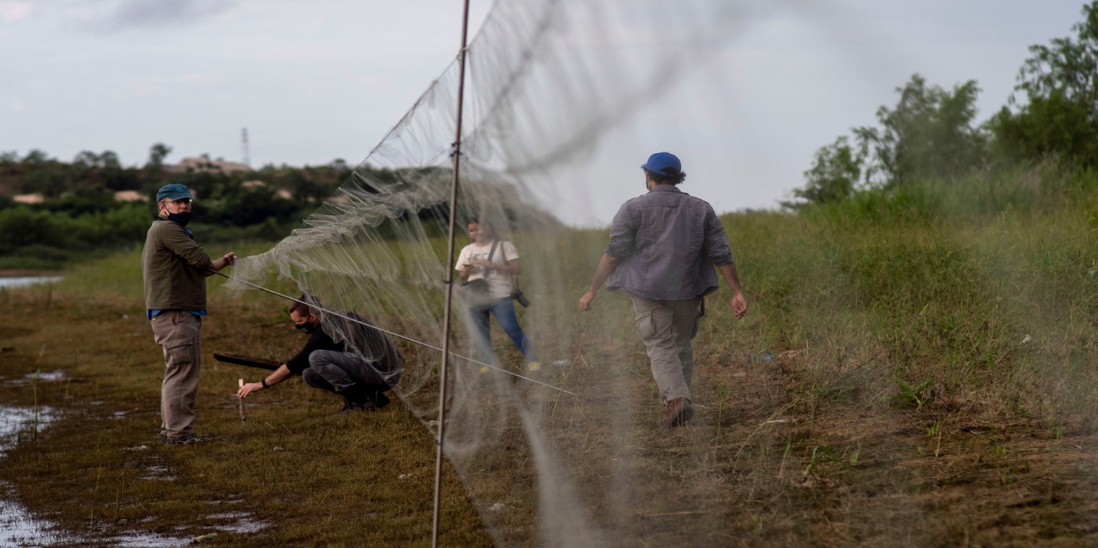Anillado aves, hacemos ciencia y conservación