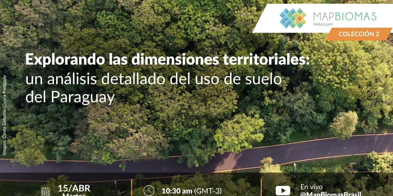 Explorando las dimensiones territoriales: un análisis detallado del uso de suelo del Paraguay
