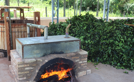 Lourdes Matoso 2222.jpg